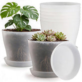 BTPLASTIK 8-inch translucent planter with saucer for indoor succulents and herbs.