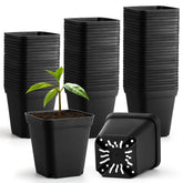 BTPLASTIK nursery pot 2.7-inch seed-starting design for seedlings.