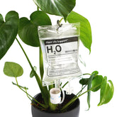 Bubblegum Stuff Plant Life Support bag provides steady drip irrigation for indoor plants.