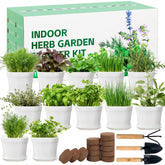 BuggyBeds 12 herb seeds varieties for indoor planting and fresh flavors