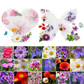BuggyBeds plantable seed paper heart for eco friendly gifting that grows wildflowers