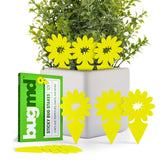 BugMD Sticky Bug Traps pack of 12; odorless, durable adhesive for indoors and outdoors.