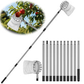 BURMONG 13.8 ft extendable pole enables safe high-reach fruit picking