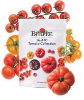 Burpee Best 10 tomato seed collection packets ready for planting and diverse harvests.