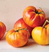 Burpee Big Rainbow beefsteak tomato fruit, 22 oz, ideal for showy slices.
