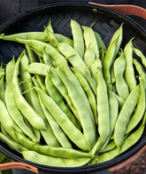 Burpee Early Italian bush bean seeds in a 2 oz packet for easy planting