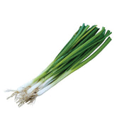 Burpee Evergreen Long White Onion seeds pack ideal for spring sowing and fresh bunching onions.