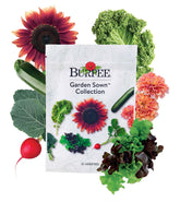 Burpee Garden Sown lettuce seeds packet for fresh, crisp homegrown salads