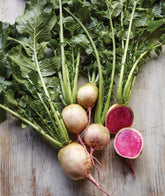 Burpee Watermelon Radish seeds packet front view for reliable germination in home gardens