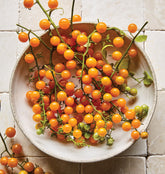 Burpee Yellow Currant seeds pack front view for home gardens, easy-to-grow tomato variety.