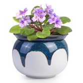 BuyMAX African Violet Pot self-watering dual-structure for easy care.