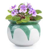 BUYMAX African Violet Pot self-watering outer pot showing convenient irrigation for busy homes
