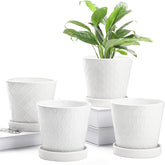 BUYMAX 5-inch white ceramic plant pot with drainage hole for healthy roots.