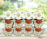 BUZZY Daydream mini terracotta pot 12-pack for indoor gardening and bright daisies.