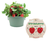 BUZZY Seeds sage green basin for a compact indoor garden with fresh strawberries.