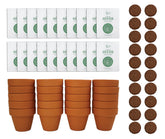 BUZZY Seeds sunflower grow kit with 20 mini terracotta pots for easy planting