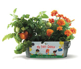BUZZY Seeds windowsill planter with tomato plants for easy indoor gardening.