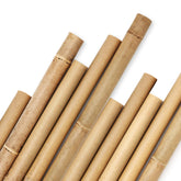 Cambaverd bamboo stakes 8ft with 1in diameter provide sturdy garden support for climbing plants.