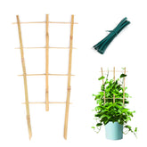 Cambaverd plant trellis 3-pack with 16in fan shape supports indoor vines