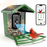 Camojojo Hibird 4K camera front view captures vivid bird activity