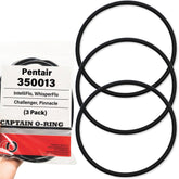 Captain O-Ring 350013 lid O-Ring close-up for a compatible Pentair pump seal.
