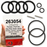 Captain O-Ring replacement kit parts laid out for two rebuilds