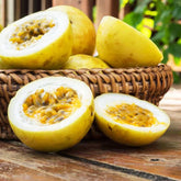 Carpet Creeping passion fruit seeds ready for outdoor planting in a sunny home garden