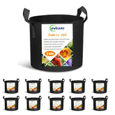 Cavisoo 5-gallon grow bag side view demonstrates durable 300g fabric suitable for reuse.