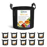 Cavisoo 3-gallon grow bags demonstrate durable construction for repeated plantings.