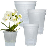 Cdd's Path six-pack bare-root planters with self-watering design for indoor or outdoor use.