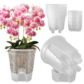 Cdd's Path 6-inch self-watering planter with water reservoir for indoor care