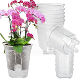 Cdd's Path large naked root planter with water reservoir enables seven-day hydration.