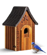 Cedar Alpha waterproof bluebird bird house exterior for durable outdoor use