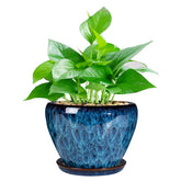 Ceramicfor 6 inch glaze succulent planter top view showing drainage and modern design for desks or shelves