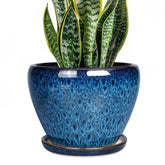 Ceramicfor 8 inch blue plant pot with drainage for healthy indoor plants.