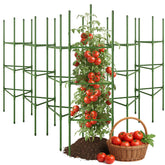 CEWOR tomato cage 6-pack assembled provides sturdy support for tomatoes and cucumbers.