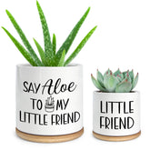 Cgvovgr Say Aloe to My Little Friend pot on a sunny windowsill, ideal for small succulents.