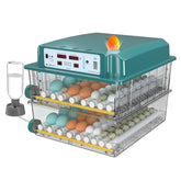Chalixion 120 egg incubator front view showing two-tier layout for home hatchery.