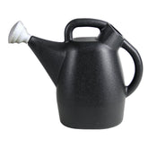 Chapin 47998 watering can with a large 2-gallon tank for fewer refills.