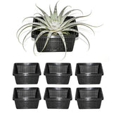 CHTASO six-pack square aquatic planter baskets with 7-inch mesh pots for pond plants