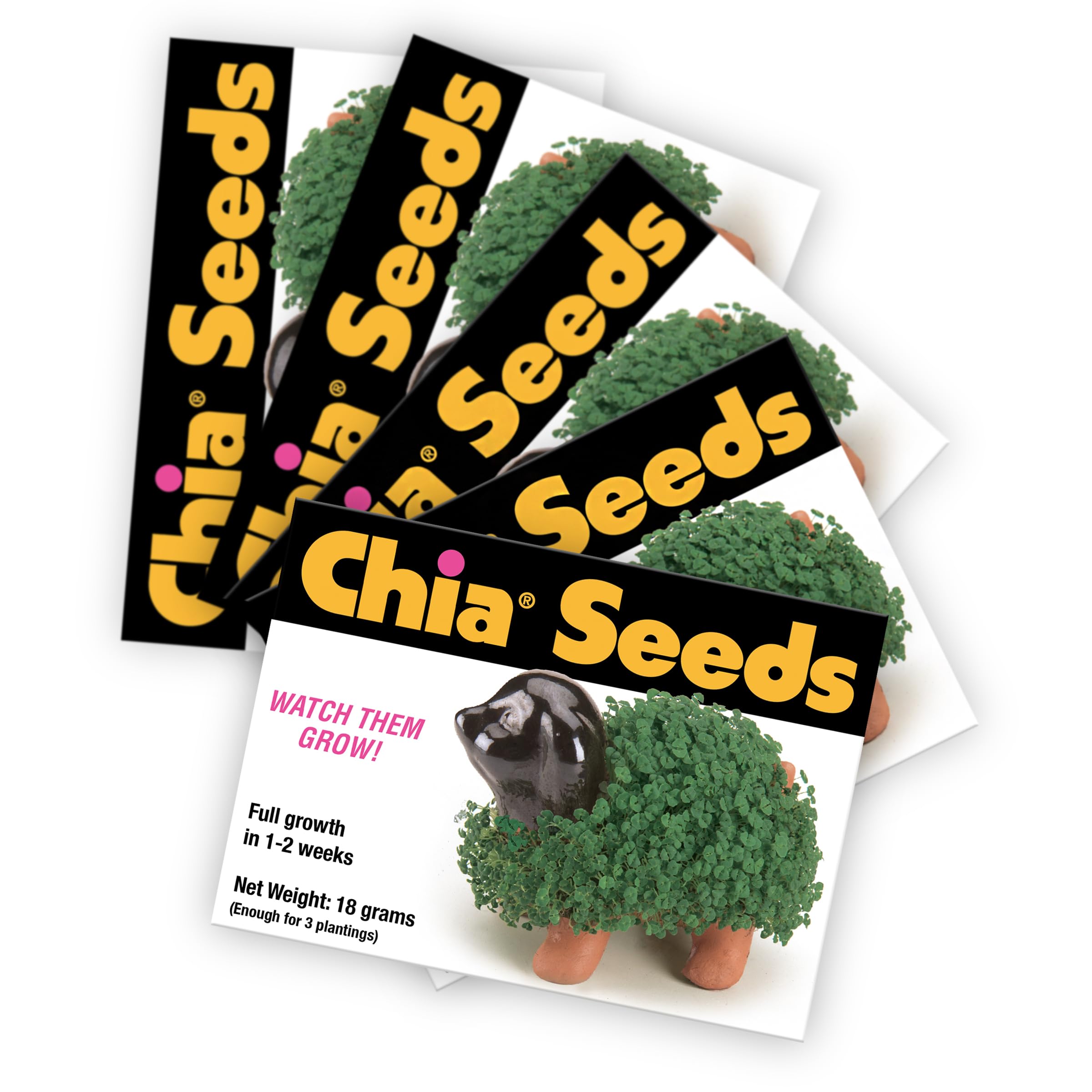 Chia Seed Packet by Chia: five packets for multiple plantings and endless growth
