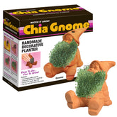 Chia Pet Gnome pottery planter ready to sprout a vivid green coat for home decor.