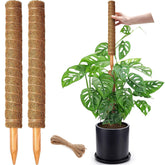 Chiaffi moss pole 17 inch vertical support helps Monstera climb indoors.