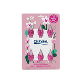 Chrysal Orchid Food Drops bottle with 12-month supply for healthy blooms.