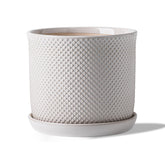 Chubacoo 8-inch ceramic plant pot with drainage hole and saucer for easy water management