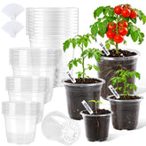 CINKSY clear nursery pot 3.5-inch with drainage holes supports healthy seedling roots.