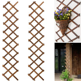 CJGQ 2-pack expandable lattice wall trellis for vertical outdoor plant growth.