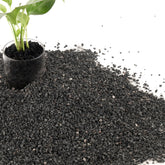 CJGQ 7LB lava rocks for plants showcase porous texture aiding drainage and moisture balance.