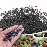 CJGQ black pebbles closeup for decorative soil surface and erosion control.