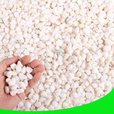 CJGQ decorative garden pebbles white for planters with smooth edges